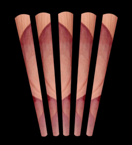 Rose Petal Cones